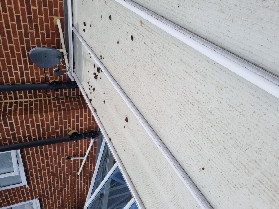 Conservatory roof covered in dirt and debris before cleaning