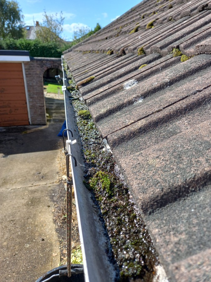 Gutter full of moss and debris before cleaning